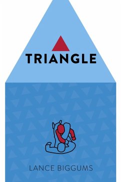 Cover Triangle (eBook, ePUB)