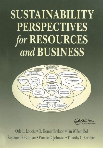 Sustainability Perspectives for Resources and Business (eBook, PDF) Sustainability Perspectives for Resources and Business (eBook, PDF)