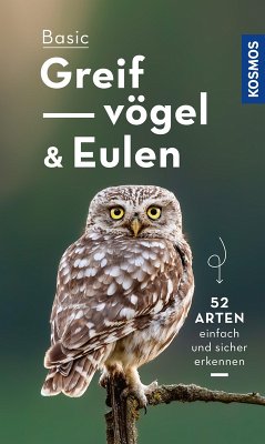 Basic Eulen Greifvögel (eBook, PDF) - Dierschke, Volker