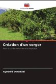 Création d'un verger Création d'un verger