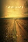 CAMINOS