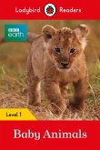 Ladybird Readers Level 1 - BBC Earth - Baby Animals (ELT Graded Reader) (eBook, ePUB)