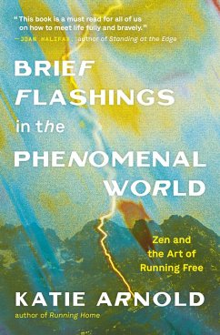 Brief Flashings in the Phenomenal World (eBook, ePUB) - Arnold, Katie