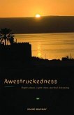 Awestruckedness (eBook, ePUB)