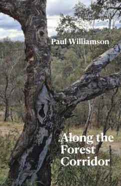 Along the Forest Corridor (eBook, ePUB) - Williamson, Paul