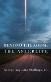 Beyond the Zoom (eBook, ePUB)