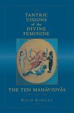 Tantric Visions of the Divine Feminine (eBook, ePUB)