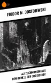 Aufzeichnungen aus dem Dunkel der Großstadt (eBook, ePUB) Aufzeichnungen aus dem Dunkel der Großstadt (eBook, ePUB)