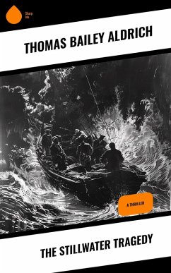 Cover The Stillwater Tragedy (eBook, ePUB)