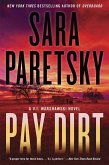 Pay Dirt (eBook, ePUB)