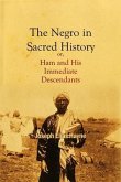 The Negro in Sacred History, or, Ham and His Immediate Descendants (eBook, ePUB)