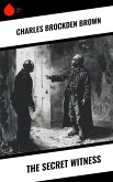 The Secret Witness (eBook, ePUB)
