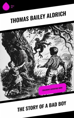 Cover The Story of a Bad Boy (eBook, ePUB)