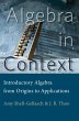 Algebra in Context (eBook, ePUB) - Bild 1