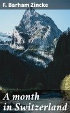 A month in Switzerland (eBook, ePUB)