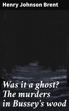 Was it a ghost? The murders in Bussey's wood (eBook, ePUB) - Brent, Henry Johnson