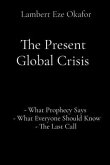 The Present Global Crisis (eBook, ePUB)