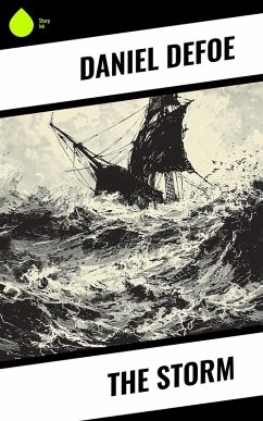 Cover The Storm (eBook, ePUB)