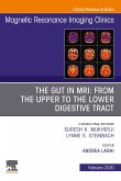 MR Imaging of the Bowel, An Issue of Magnetic Resonance Imaging Clinics of North America, E-Book (eBook, ePUB)