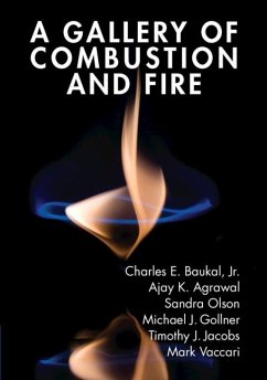 Gallery of Combustion and Fire (eBook, ePUB) - Charles E. Baukal, Jr.