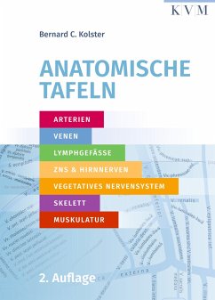 Anatomische Tafeln - Kolster, Bernard C.