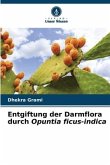 Entgiftung der Darmflora durch Opuntia ficus-indica