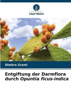 Entgiftung der Darmflora durch Opuntia ficus-indica - Grami, Dhekra