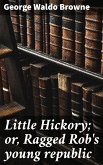 Little Hickory; or, Ragged Rob's young republic (eBook, ePUB)