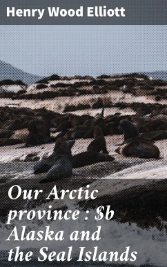 Our Arctic province : Alaska and the Seal Islands (eBook, ePUB) - Elliott, Henry Wood