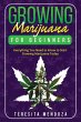 Growing Marijuana for Beginners - Bild 1