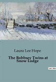 The Bobbsey Twins at Snow Lodge