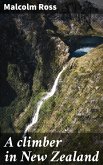 A climber in New Zealand (eBook, ePUB)