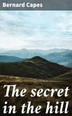 The secret in the hill (eBook, ePUB)