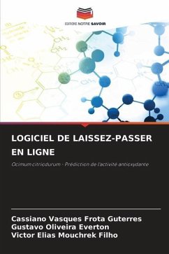 LOGICIEL DE LAISSEZ-PASSER EN LIGNE - Vasques Frota Guterres, Cassiano;Oliveira Everton, Gustavo;Elias Mouchrek Filho, Victor