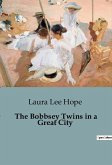 The Bobbsey Twins in a Great City