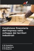 Condizione finanziaria dell'impresa nello sviluppo dei territori industriali