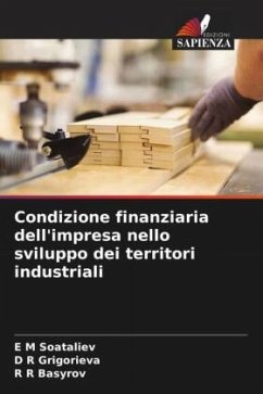 Cover Condizione finanziaria dell'impresa nello sviluppo dei territori industriali