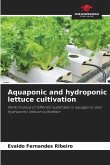 Aquaponic and hydroponic lettuce cultivation
