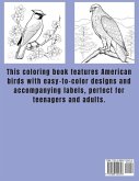 Colorful Feathers: A Teens and Adults Coloring Book of American Birds: A Teens and Adults Coloring Book of American Birds: A Teens and Ad