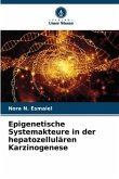Epigenetische Systemakteure in der hepatozellulären Karzinogenese