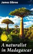 A naturalist in Madagascar (eBook, ePUB) - Bild 1