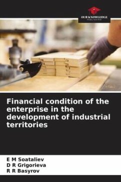Cover Financial condition of the enterprise in the development of industrial territories