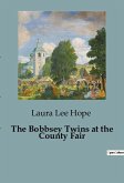 The Bobbsey Twins at the County Fair