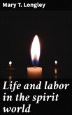 Life and labor in the spirit world (eBook, ePUB)