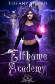 Elfhame Academy (eBook, ePUB)