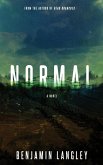 Normal (eBook, ePUB)