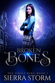 Broken Bones (The Ghost Ring Chronicles, #1) (eBook, ePUB)