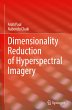 Dimensionality Reduction of... - Bild 1