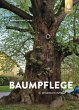 Baumpflege - Bild 1
