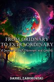 From Ordinary to Extraordinary (eBook, ePUB)